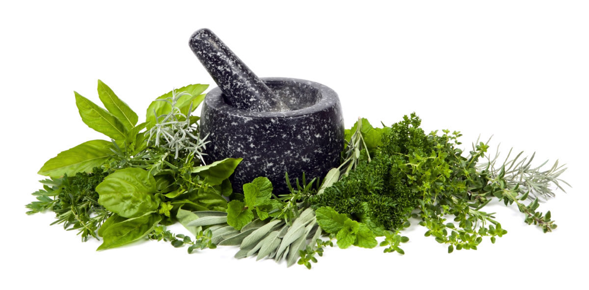 Top 8 Herbs For Treating Asthma Living Healthy